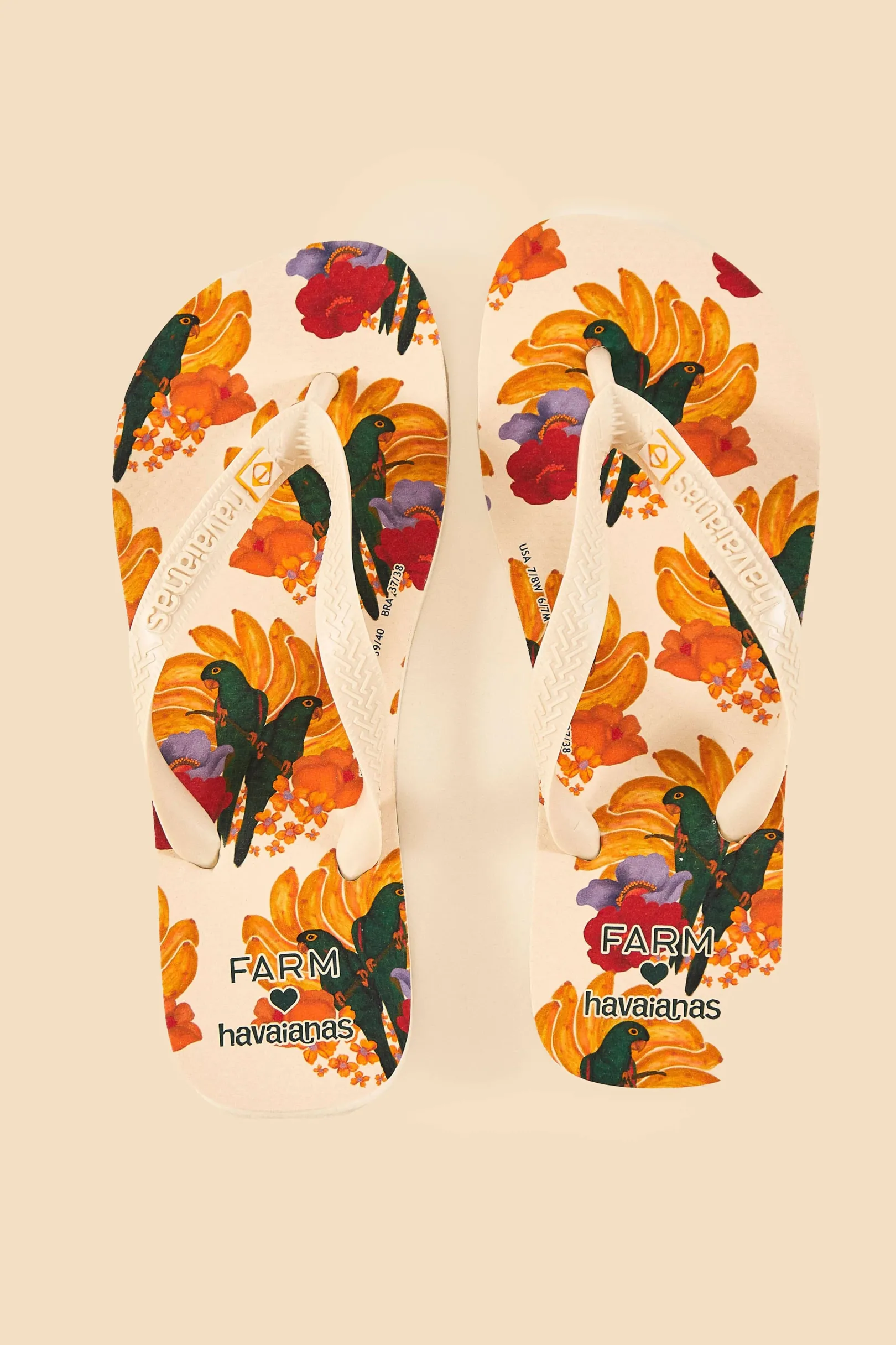 FARM Rio BANANA NEST HAVAIANAS SANDALS Best
