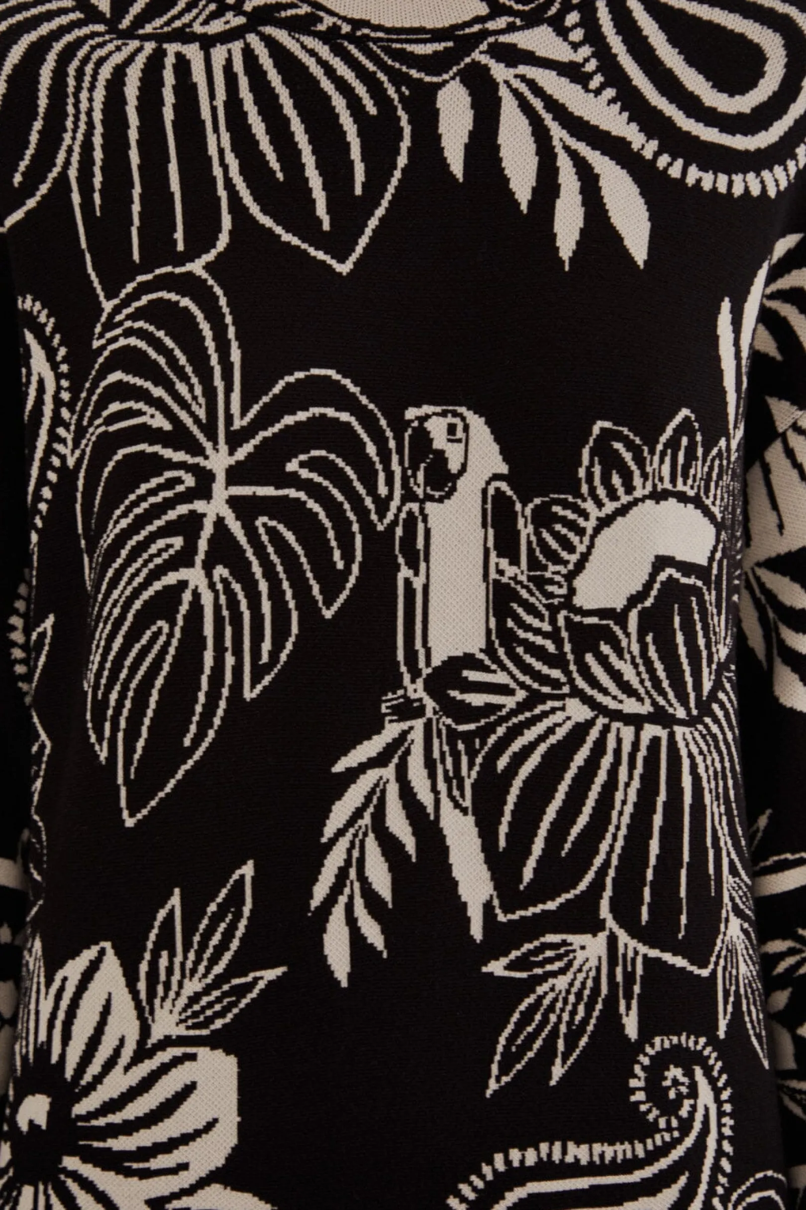 FARM Rio BLACK PAISLEY BLOOM KNIT DRESS Online